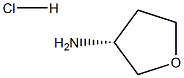 (R)-tetrahydrofuran-3-aMine hydrochloride CAS#: 1072015-52-1