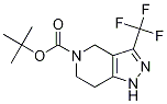 TERT-BUTYL 3-(TRIFLUOROMETHYL)-1,4,6,7-TETRAHYDRO-5H-PYRAZOLO[4,3-C]PYRIDINE-5-CARBOXYLATE CAS#: 1022931-73-2