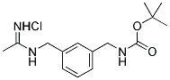 TERT-BUTYL N-[3-(ACETIMIDOYLAMINOMETHYL)BENZYL]CARBAMATE, HYDROCHLORIDE CAS#: 180001-98-3