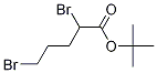 Tert-Butyl 2,5-dibroMopentanoate CAS#: 178933-83-0