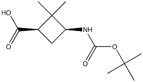 cis-3-(Boc-aMino)-2,2-diMethylcyclobutanecarboxylic acid CAS#: 188918-39-0