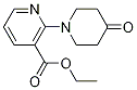 ethyl 2-(4-oxopiperidin-1-yl)nicotinate CAS#: 1016524-78-9