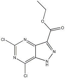 ethyl 5,7-dichloro-1H-pyrazolo[4,3-d]pyrimidine-3-carboxylate CAS#: 1053656-63-5