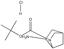 tert-butyl 6-aMino-2-azabicyclo[2.2.1]heptane-2-carboxylate hydrochloride CAS#: 1005077-74-6