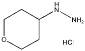 (tetrahydro-pyran-4-yl)-hydrazine hydrochloride CAS#: 194543-22-1