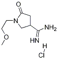 1-(2-Methoxyethyl)-2-oxopyrrolidine-4-carboxaMidine Hydrochloride CAS#: 1272756-21-4