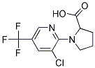 1-[3-CHLORO-5-(TRIFLUOROMETHYL)PYRIDIN-2-YL]PYRROLIDINE-2-CARBOXYLIC ACID CAS#: 1188435-80-4