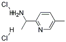 1-(5-METHYL-PYRIDIN-2-YL)-ETHYLAMINE DIHYDROCHLORIDE CAS#: 1187931-95-8