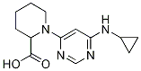 1-(6-CyclopropylaMino-pyriMidin-4-yl)-piperidine-2-carboxylic acid CAS#: 1353943-71-1
