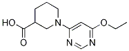1-(6-Ethoxy-pyriMidin-4-yl)-piperidine-3-carboxylic acid CAS#: 1353984-32-3