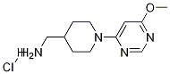 [1-(6-Methoxy-pyriMidin-4-yl)-piperidin-4-yl]-Methyl-aMine hydrochloride CAS#: 1353946-17-4