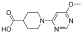 1-(6-Methoxy-pyriMidin-4-yl)-piperidine-4-carboxylic acid CAS#: 1334488-49-1