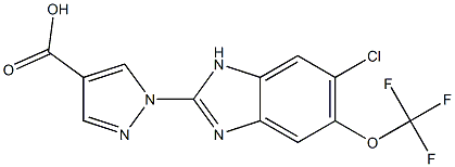 1-(6-chloro-5-trifluoromethoxy-1H-benzoimidazol-2-yl)-1H-pyrazole-4-carboxylic acid CAS#: 1193383-09-3