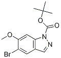 1-Boc-5-broMo-6-Methoxy-1H-indazole CAS#: 1305320-56-2
