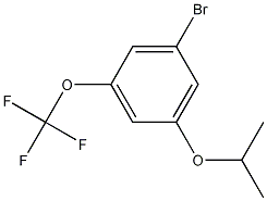 1-Bromo-3-isopropoxy-5-(trifluoromethoxy)benzene CAS#: 1221793-61-8