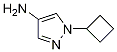 1-Cyclobutyl-1H-pyrazol-4-ylaMine CAS#: 1190380-64-3