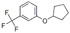 1-(Cyclopentyloxy)-3-(trifluoroMethyl)benzene CAS#: 1365271-30-2