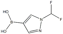 (1-(Difluoromethyl)-1H-pyrazol-4-yl)boronic acid CAS#: 1312693-57-4