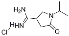 1-Isopropyl-2-oxopyrrolidine-4-carboxaMidine Hydrochloride CAS#: 1272756-01-0