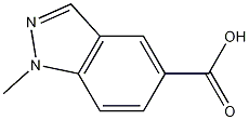1-Methyl-indazole-5-carboxylic acid CAS#: 1176754-31-6