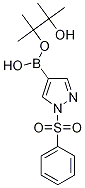 1-Phenylsulfonyl-1H-pyrazole-4-boronic acid pinacol ester CAS#: 1073372-04-9