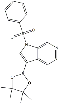 1-(Phenylsulfonyl)-3-(4,4,5,5-tetraMethyl-1,3,2-dioxaborolan-2-yl)-1H-pyrrolo[2,3-c]pyridine CAS#: 1174038-65-3