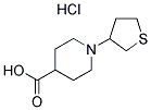 1-(TETRAHYDRO-3-THIENYL)PIPERIDINE-4-CARBOXYLIC ACID HYDROCHLORIDE CAS#: 1185299-73-3