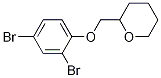 1-(Tetrahydro-2H-pyran-2-yl)methoxy-2,4-dibromobenzene CAS#: 1257665-15-8