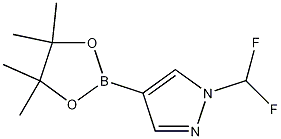 1-(difluoromethyl)-4-(4,4,5,5-tetramethyl-1,3,2-dioxaborolan-2-yl)-1H-pyrazole CAS#: 1206640-82-5