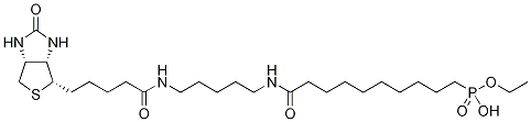 10-Ethoxyphosphinyl-N-biotinamidopentyldecanamide CAS#: 1246814-63-0