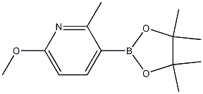 6-Methoxy-2-methyl-3-(4,4,5,5-tetramethyl-[1,3,2]dioxaborolan-2-yl)-pyridine CAS#: 1080028-73-4