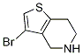3-bromo-4,5,6,7-tetrahydrothieno[3,2-c]pyridine CAS#: 1257854-58-2