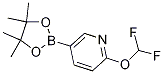 2-(difluoromethoxy)-5-(4,4,5,5-tetramethyl-1,3,2-dioxaborolan-2-yl)pyridine CAS#: 1333222-12-0