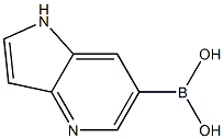 1H-Pyrrolo[3,2-B]pyridine-6-boronic acid CAS#: 1253911-17-9