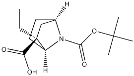 (1S,2S,4R)-7-tert-butyl 2-ethyl 7-azabicyclo[2.2.1]heptane-2,7-dicarboxylate CAS#: 1260981-47-2
