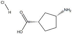 (1S,3R)-3-aMinocyclopentane-1-carboxylic acid HCl CAS#: 1096155-68-8