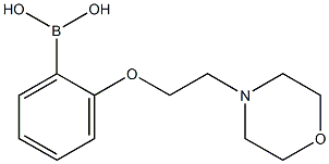 2-(2-Morpholinoethoxy)phenylboronic acid CAS#: 1310930-78-9