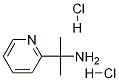 2-(2-Pyridyl)-2-propylamine Dihydrochloride CAS#: 1256633-17-6
