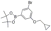 2-(3-Bromo-5-(cyclopropylmethoxy)phenyl)-4,4,5,5-tetramethyl-1,3,2-dioxaborolane CAS#: 1218789-49-1