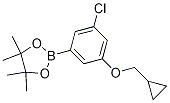 2-(3-Chloro-5-(cyclopropylmethoxy)phenyl)-4,4,5,5-tetramethyl-1,3,2-dioxaborolane CAS#: 1218789-44-6