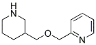 2-[(3-PIPERIDINYLMETHOXY)METHYL]PYRIDINE CAS#: 1184981-83-6