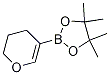 2-(3,4-Dihydro-2H-pyran-5-yl)-4,4,5,5-tetramethyl-1,3,2-dioxaborolane CAS#: 1046811-99-7