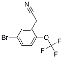 2-[5-BroMo-2-(trifluoroMethoxy)phenyl]acetonitrile CAS#: 1381944-30-4