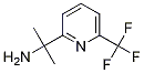 2-(6-(trifluoromethyl)pyridin-2-yl)propan-2-amine CAS#: 1192356-25-4