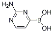 2-AMinopyriMidin-4-boronic acid CAS#: 1093961-43-3