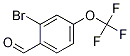 2-BROMO-4-(TRIFLUOROMETHOXY)BENZALDEHYDE CAS#: 1114808-87-5