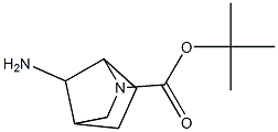 2-Boc-7-aMino-2-Azabicyclo[2.2.1]heptane CAS#: 1251015-62-9