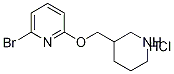 2-BroMo-6-(piperidin-3-ylMethoxy)-pyridine hydrochloride, 98+% C11H16ClBrN2O, 分子量 307.62 CAS#: 1185308-11-5