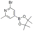 2-Bromo-6-methyl-4-(4,4,5,5-tetramethyl-1,3,2-dioxaborolan-2-yl)pyridine CAS#: 1321518-06-2