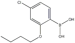 2-Butoxy-4-chlorophenylboronic acid CAS#: 1256355-07-3